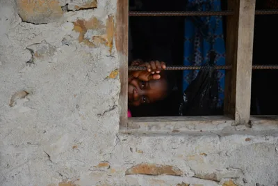 DSC_4743 (Large).JPG